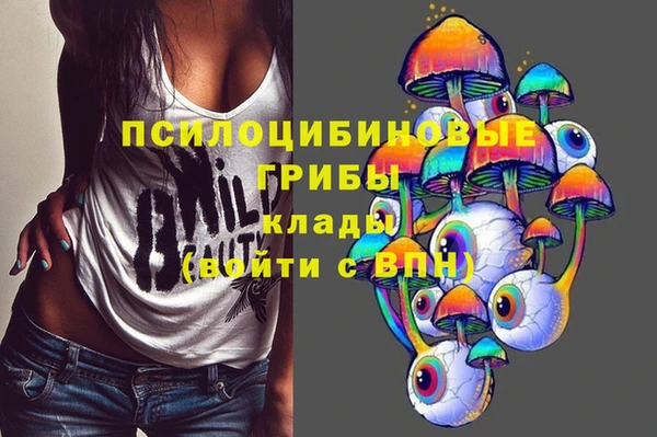 дмт Алзамай