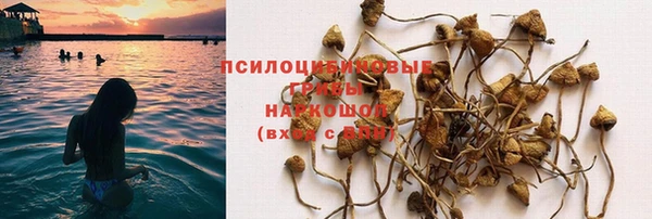 дмт Алзамай