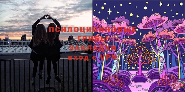 прущий лед Алексеевка