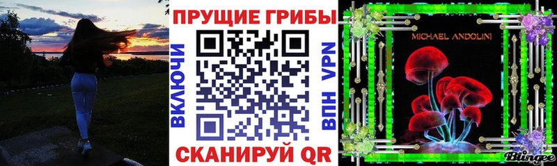 продажа наркотиков Ижевск Псилоцибиновые грибы Magic Shrooms
