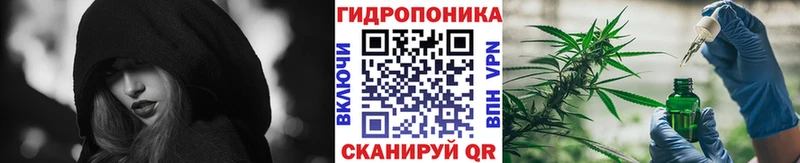 Шишки марихуана марихуана  сколько стоит  Ижевск 